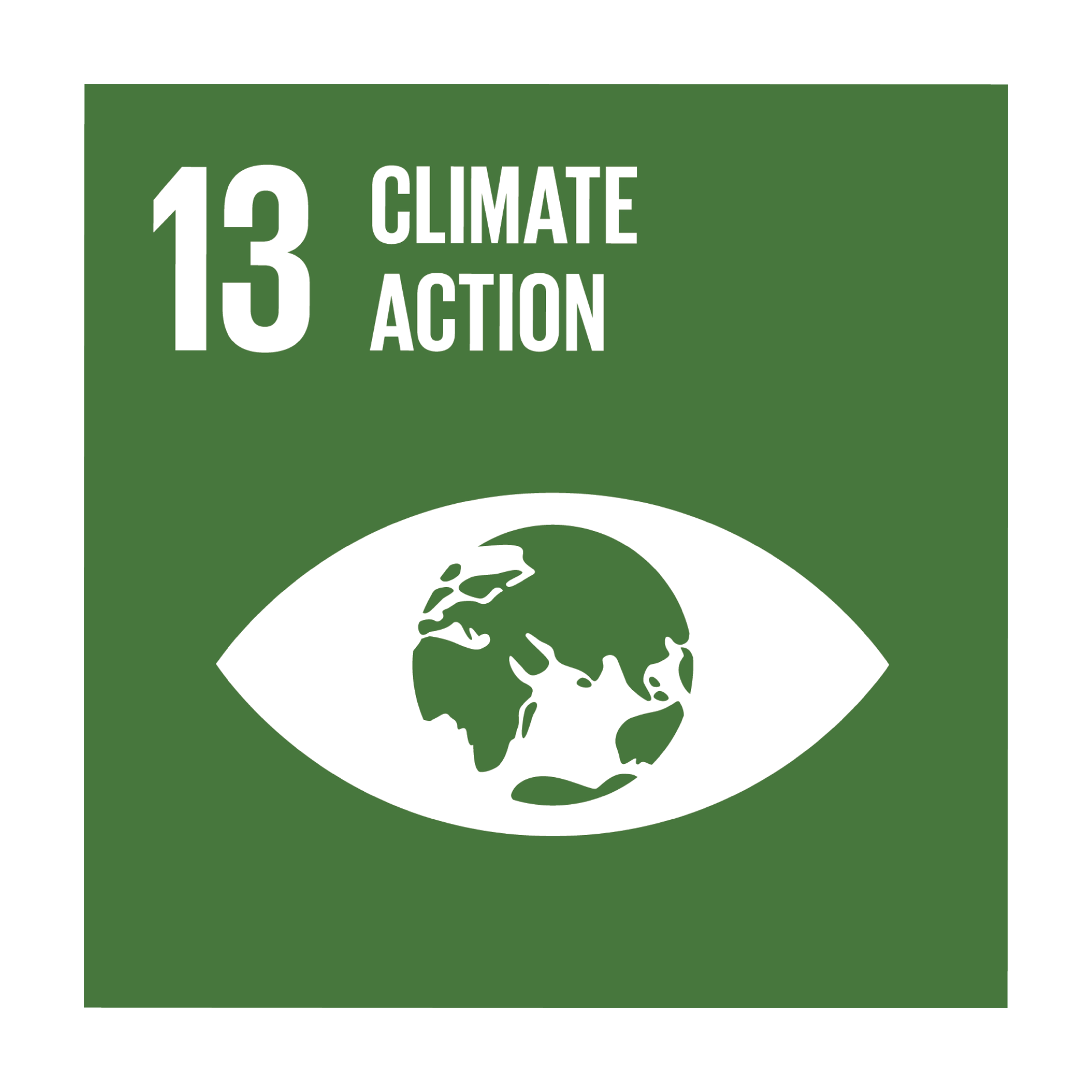 SDG 13