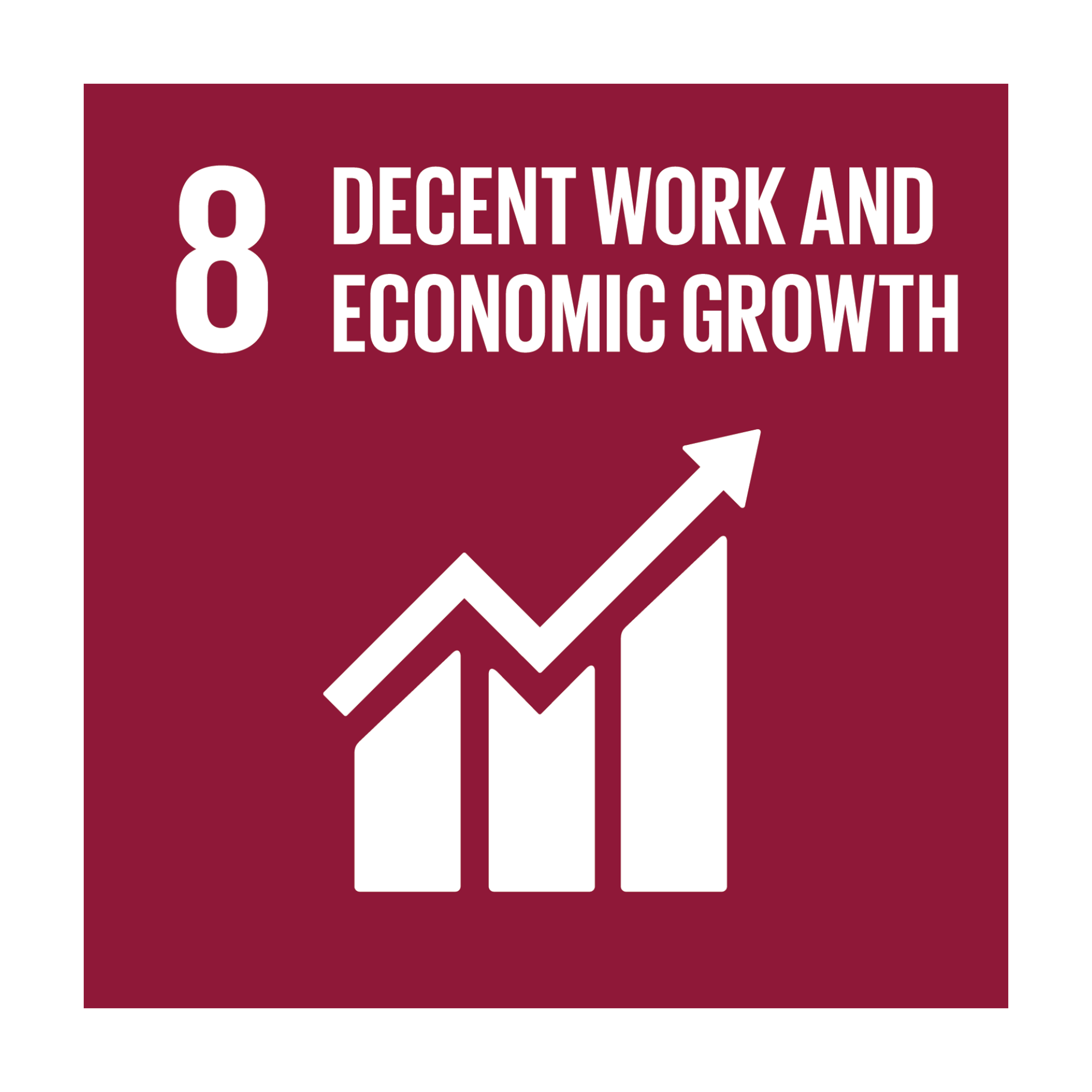 SDG 8